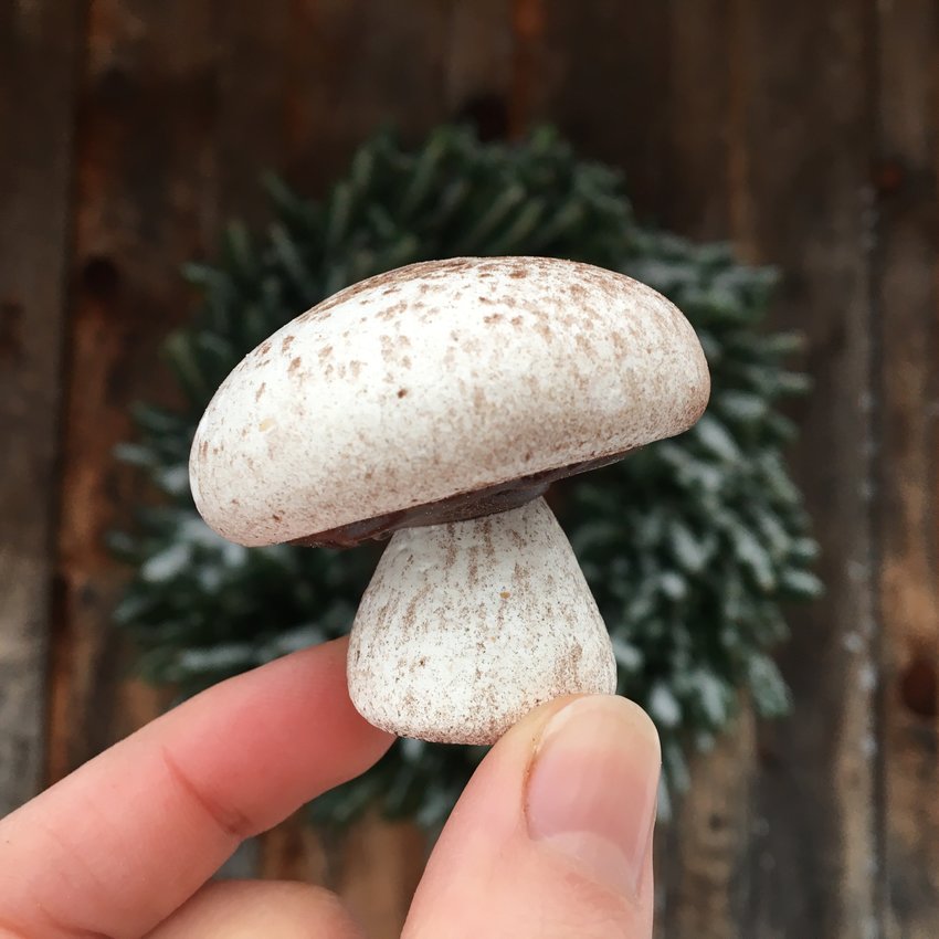 Lifelike meringue mushrooms from Beach Lake Bakery.